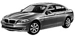 BMW F10 U257D Fault Code